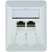 Telegärtner Boîte de raccordement AMJ Cat. 6...