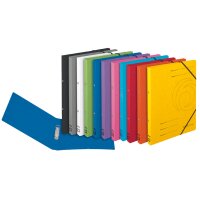 herlitz Classeur à anneaux easyorga, A4, carton