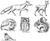 HEYDA Kit de tampons à motifs animaux de la fôret,6 pièces