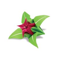 folia Feuilles de papier origami à plier, 190 x...