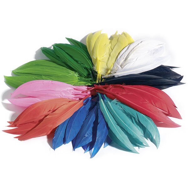 folia Indianerfedern, 10 g, farbig sortiert