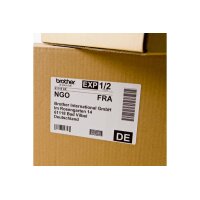 PTOUCH Versand-Etiketten 62x100mm DK-11202 QL-500/550 300...