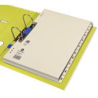 Oxford Trennblätter, 2-seitig bedruckt, chamois, 240...