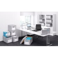 ELBA tric Archiv-Schachtel, Breite 95 mm, für A4, grau weiss