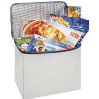 WEDO BigBox Cooler Kühltasche, 16,5 Liter, hellgrau