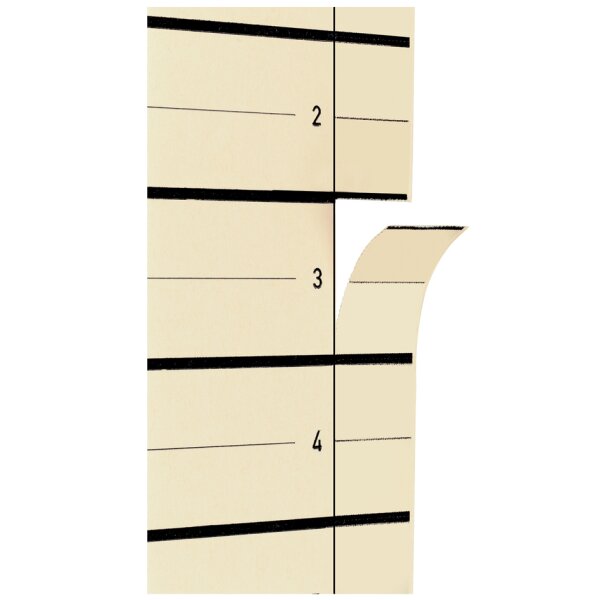 PAGNA Trennblätter, DIN A4, Kraftkarton, beige