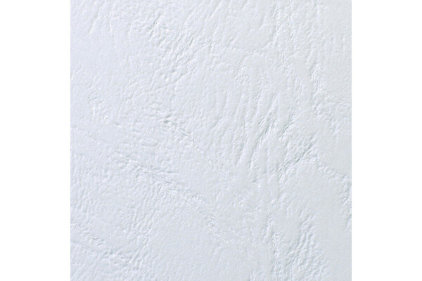 GBC Couverture reliure A4 CE040070 blanc, 250g 100 pcs.
