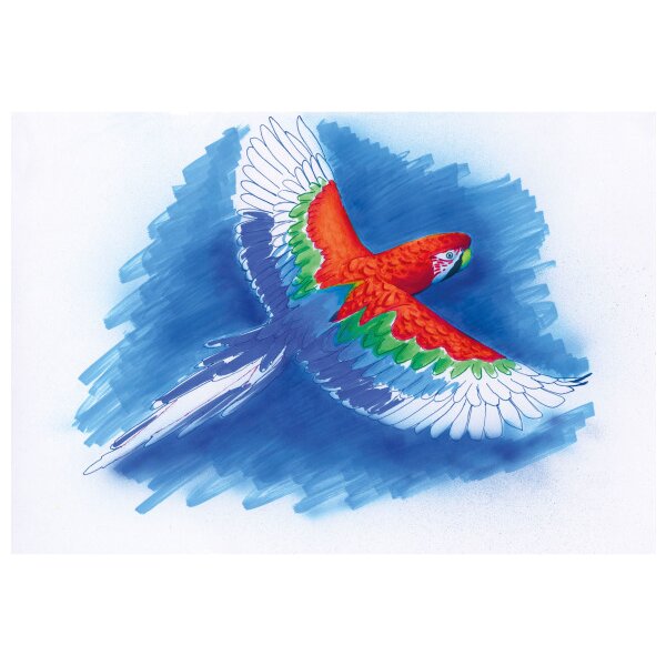 COPIC Marker Classic 20075702 Leuchtende Farben, 12 St&uuml;ck
