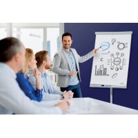 FRANKEN Flipchart X-tra!Line 68x105cm EL-FC20 gris clair trépied