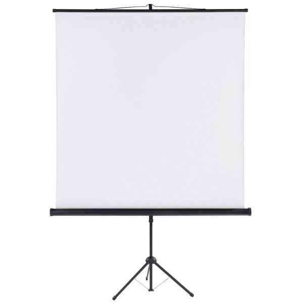 FRANKEN Ecran de projection avec tr&eacute;pied X-tra!Line