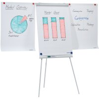 FRANKEN Chevalet de conférence ECO Standard,680 x...