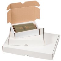 Smartboxpro Carton dexpédition maxi,...