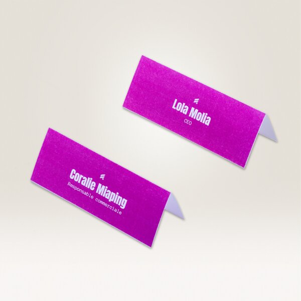AVERY Zweckform Cartes de noms, imprimante Laser/jet dencre