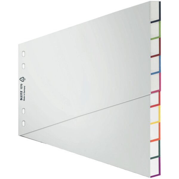 LEITZ Kunststoff-Register, blanko, A4 &Uuml;berbreite, schr&auml;g