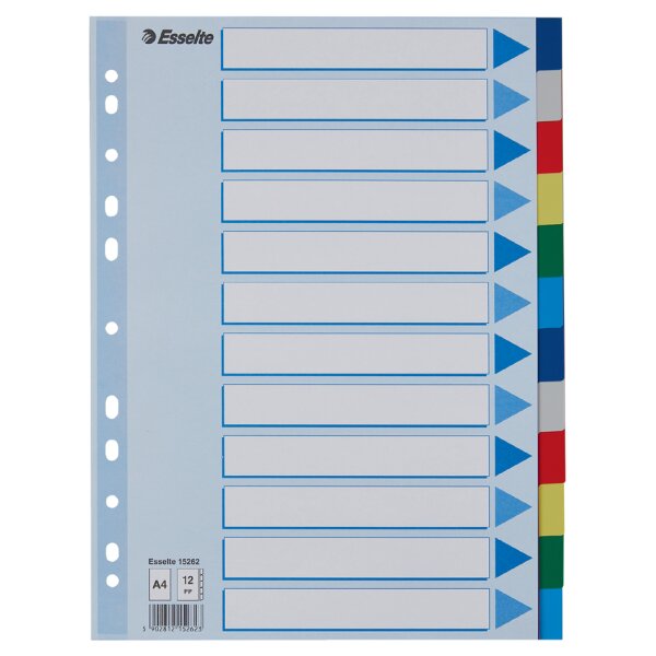 Esselte Kunststoff-Register, blanko, A4, PP, 5-teilig