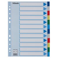 Esselte Kunststoff-Register, blanko, A4, PP, 10-teilig