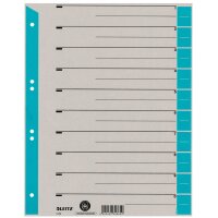 LEITZ Trennblätter, A4 Überbreite, Kraftkarton 230g qm, grün