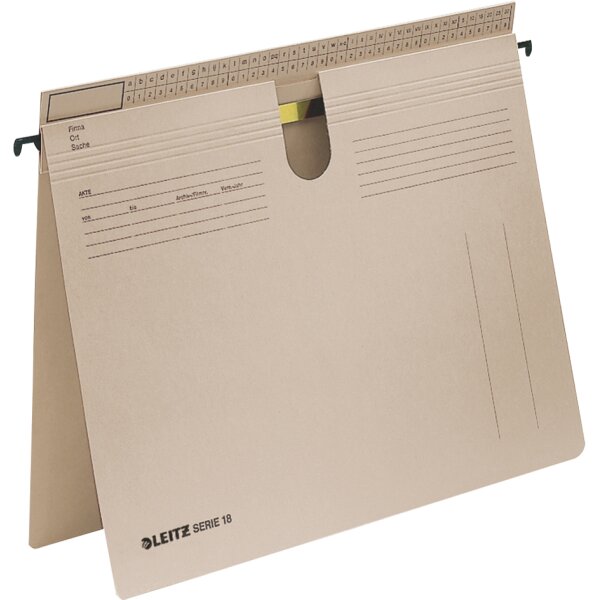 LEITZ SERIE 18 H&auml;ngehefter, Manilakarton 250 g/qm, grau