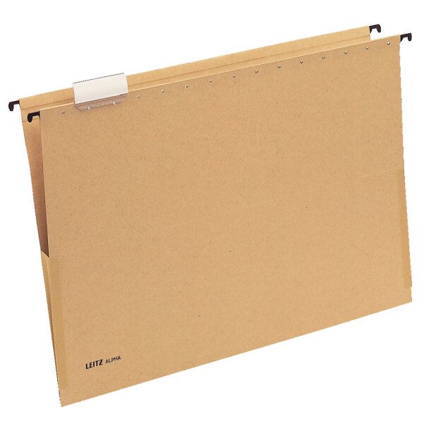 LEITZ ALPHA Hängetasche, A3, mit Fröschen, natron