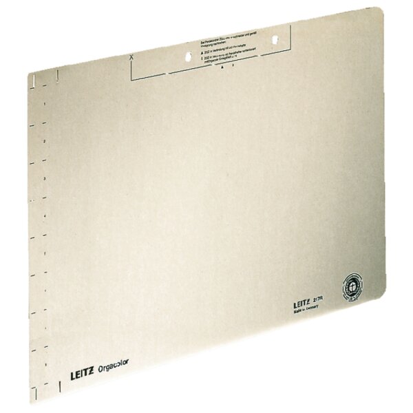 LEITZ Einlegeblatt, (B)323 x (H)224 mm, chamois