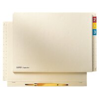 LEITZ Einstellhefter Orgacolor, A4, chamois