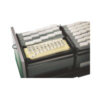 LEITZ Einstellmappe, mit Reiter, A4, chamois