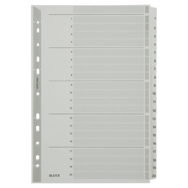 LEITZ Mylarkarton-Register, Zahlen, A4, 1-12, 12-teilig,grau