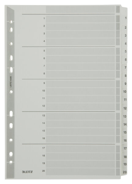 LEITZ Mylarkarton-Register, Zahlen, A4, 1-20, 20-teilig,grau