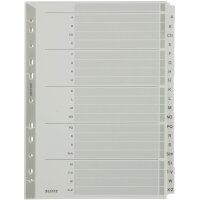 LEITZ Mylarkarton-Register, A-Z, A4, 20-teilig, grau