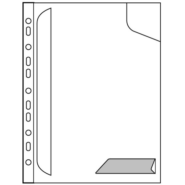 LEITZ pochette perforée CombiFile, format A4, PP,transparent
