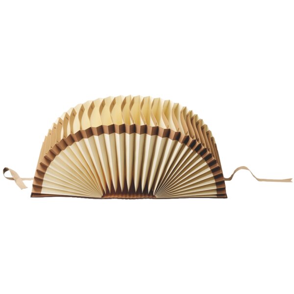 LEITZ trieur &eacute;ventail, A4, 1-31, 31 compartiments, marron