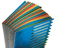 LEITZ Pultordner Deskorganizer Color, A4, 1-24 A-Z, blau