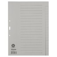Esselte Tauenpapier-Register, blanko, A4, 20-teilig, grau