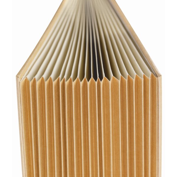 extendos Pultordner 1 - 31, DIN A4, 31 Fächer