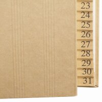 extendos Pultordner 1 - 31, DIN A4, 31 Fächer