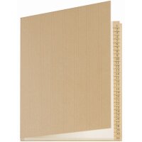 extendos Pultordner 1 - 31, DIN A4, 31 Fächer