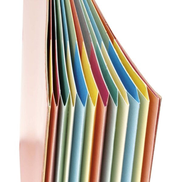 extendos Ordnungsmappe 223, aus Karton, 12 Fächer, blau