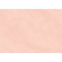Clairefontaine Papier cadeau kraft, gris