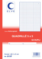 ELVE Manifold quadrillé (5/5), 140 x 210 mm, dupli