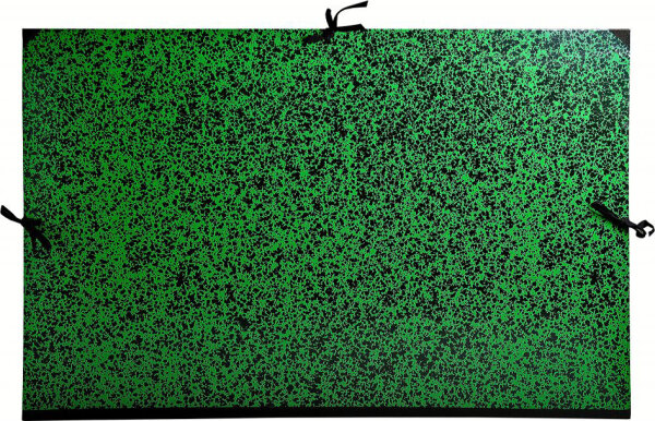 EXACOMPTA Carton à dessin, 800 x 1.200 mm, carton, vert