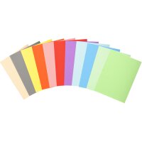 EXACOMPTA Chemises FOREVER 180, A4, 170 g/m2, assorti