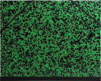 EXACOMPTA Carton à dessin, 260 x 330 mm, carton, vert