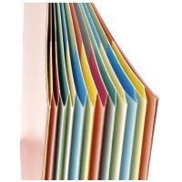 extendos Ordnungsmappe, DIN A4, Karton, 12 Fächer, gelb
