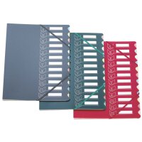 extendos Ordnungsmappe 437, DIN A4, 12 Taben,farbig sortiert