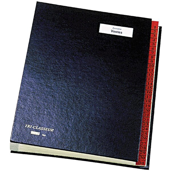 emey Pultordner 761, 31 Fächer, mit Taben von 1 - 31