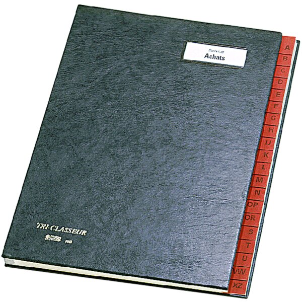 emey Pultordner 761, 31 Fächer, mit Taben von 1 - 31