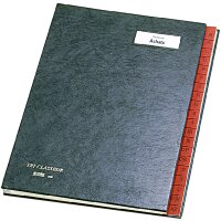 emey Pultordner 761, 31 Fächer, mit Taben von 1 - 31