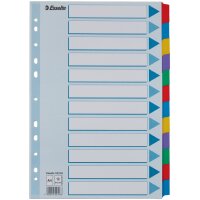 Esselte Karton-Register, blanko, A4, 12-teilig, mehrfarbig