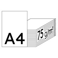 PIONEER fresh inspiration Premiumpapier hochweiss A4 75g - 1 Palette (100000 Blatt)