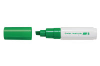 PILOT Marker Pintor 8.0mm SW-PT-B-LG hellgrün